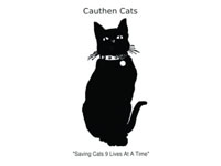Cauthen Cats